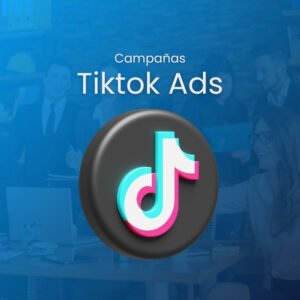 TikTok Ads